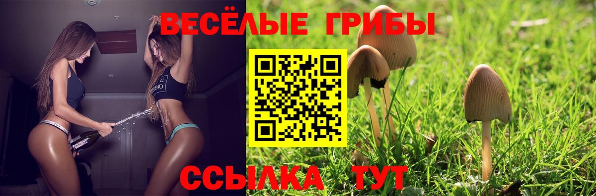 Псилоцибиновые грибы прущие грибы Семёнов