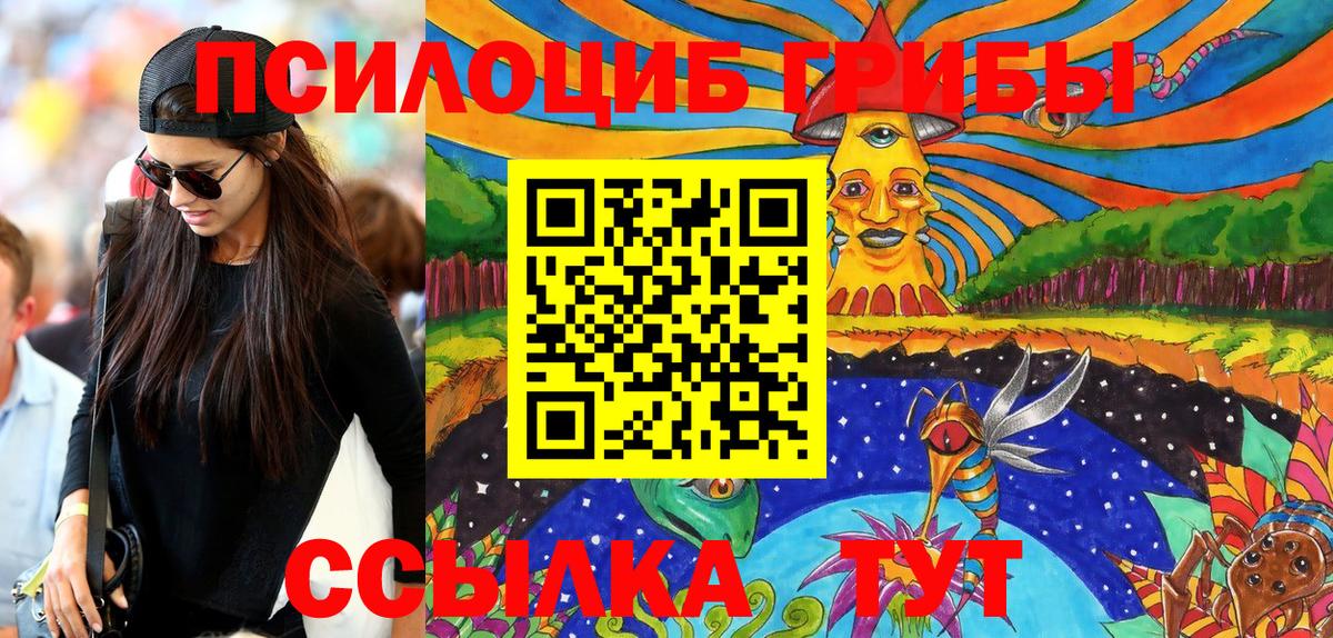 Галлюциногенные грибы Psilocybine cubensis  Вход с VPN  Семёнов 